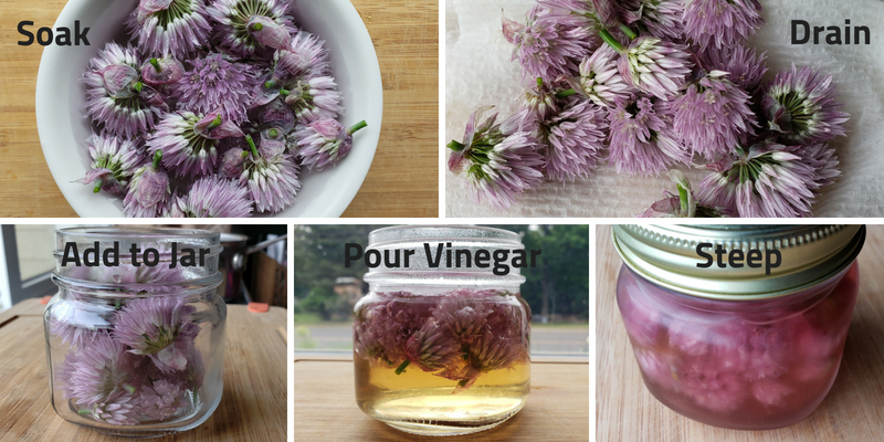 Steps to Infuse Vinegar with Chive Blossoms